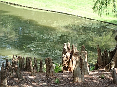 019 Longwood Gardens [2008 August 23]